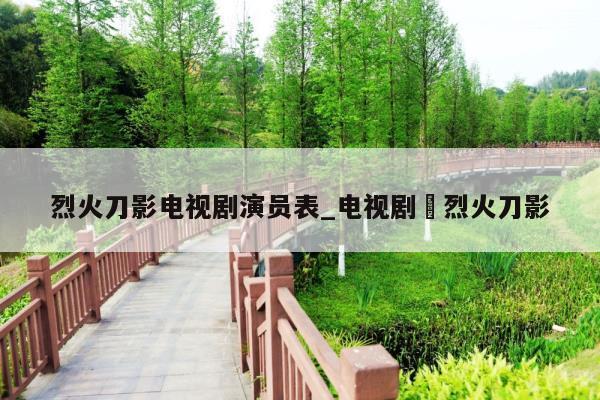 烈火刀影电视剧演员表_电视剧巜烈火刀影