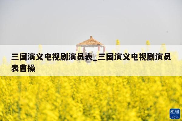 三国演义电视剧演员表_三国演义电视剧演员表曹操