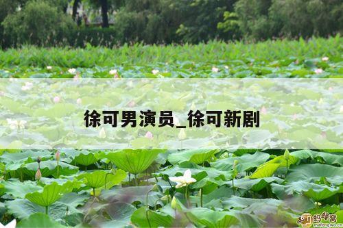 徐可男演员_徐可新剧