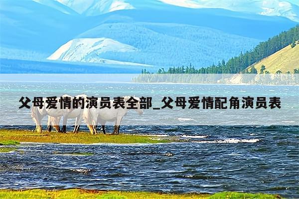 父母爱情的演员表全部_父母爱情配角演员表