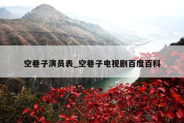 空巷子演员表_空巷子电视剧百度百科
