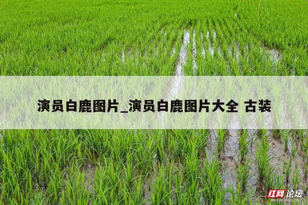 演员白鹿图片_演员白鹿图片大全 古装
