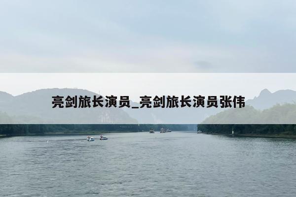 亮剑旅长演员_亮剑旅长演员张伟