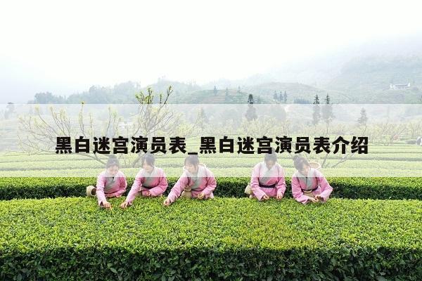 黑白迷宫演员表_黑白迷宫演员表介绍