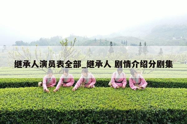 继承人演员表全部_继承人 剧情介绍分剧集