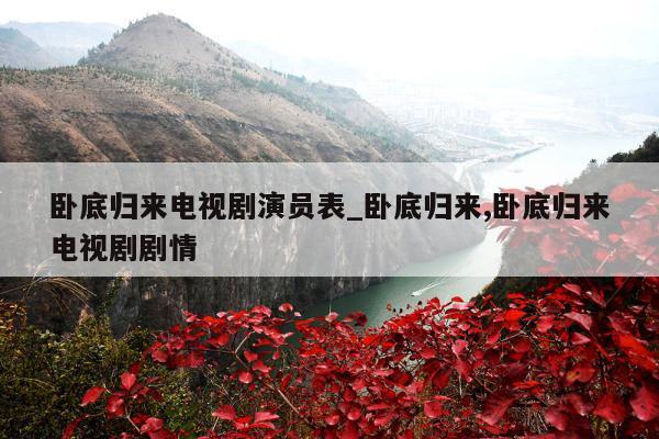 卧底归来电视剧演员表_卧底归来,卧底归来电视剧剧情