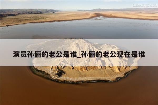 演员孙俪的老公是谁_孙俪的老公现在是谁