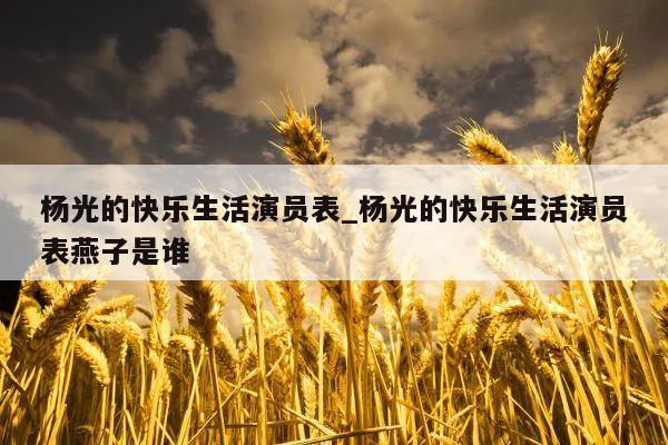 杨光的快乐生活演员表_杨光的快乐生活演员表燕子是谁