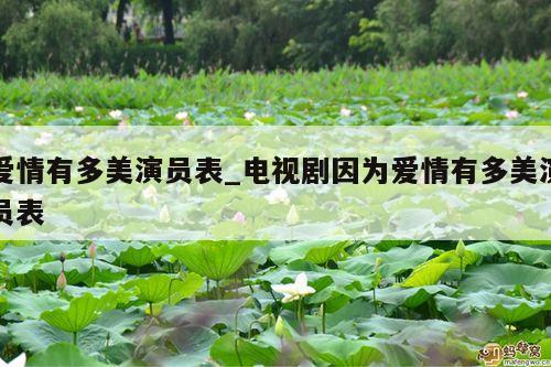 爱情有多美演员表_电视剧因为爱情有多美演员表