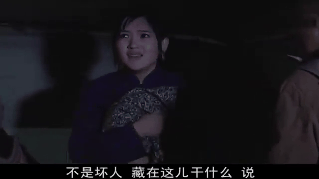 关中女人剧情介绍(关中女人电视剧简介)