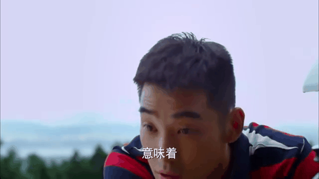 后海不是海剧情介绍(后海不是海剧情介绍海鸥是谁)