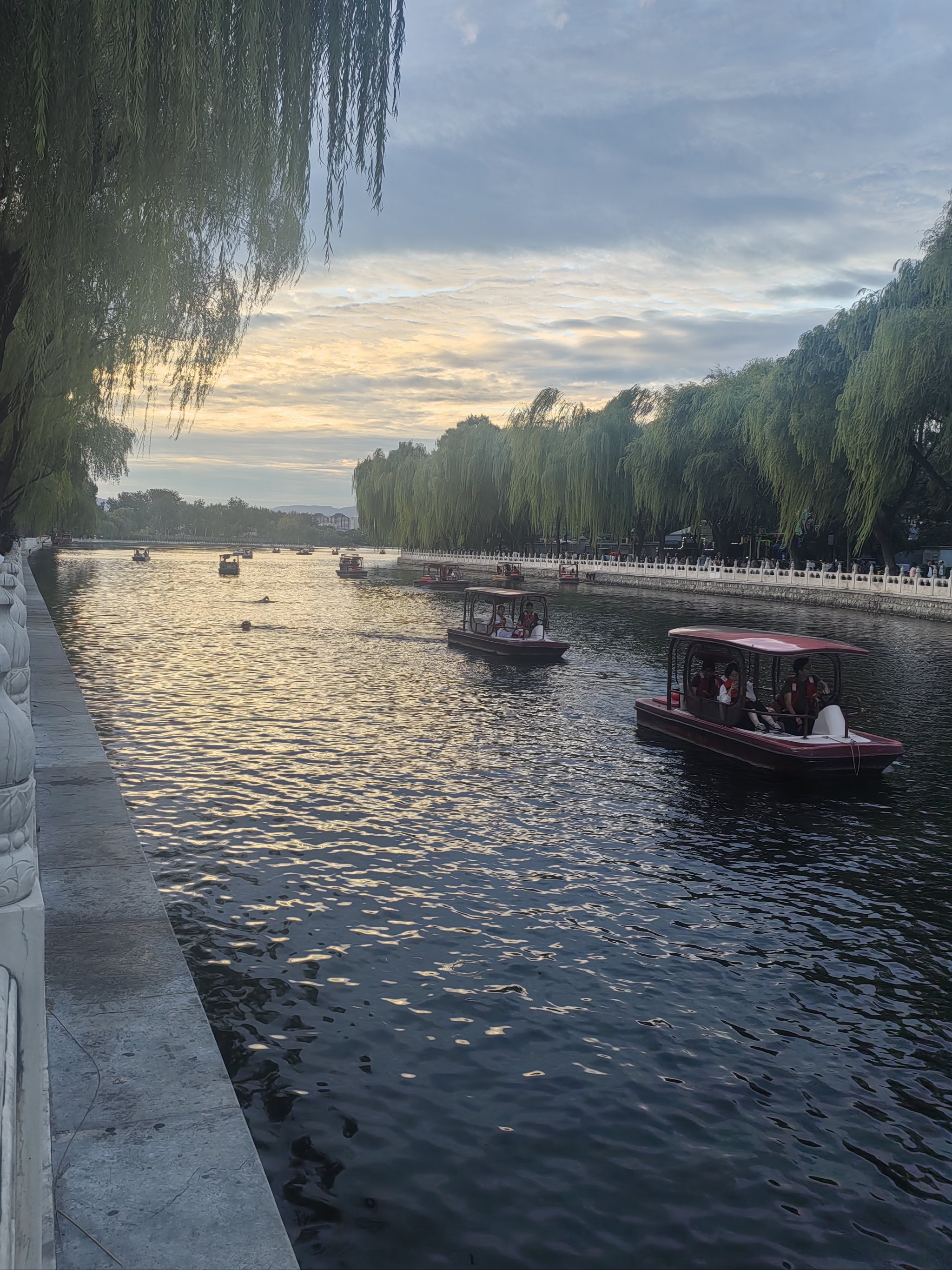 后海不是海剧情介绍(后海不是海剧情介绍海鸥是谁)
