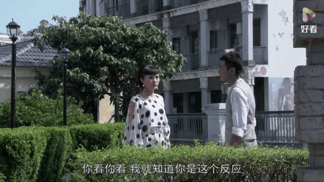 代号九耳犬剧情介绍(代号九耳犬剧情介绍剧情吧)