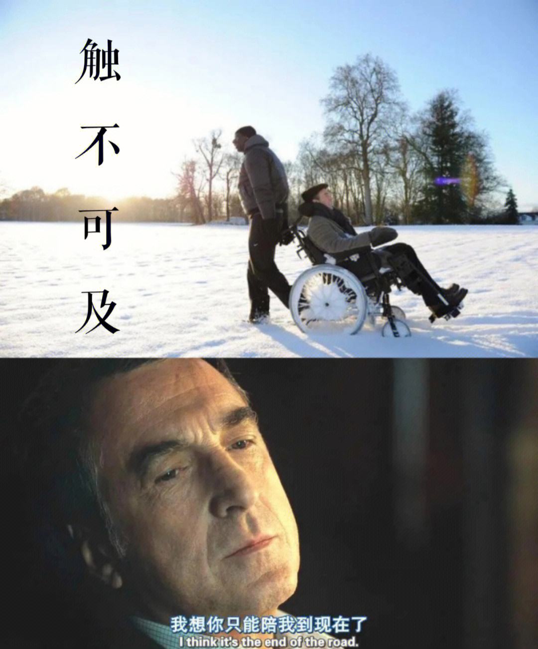 电影触不可及剧情介绍(电影触不可及剧情简介)