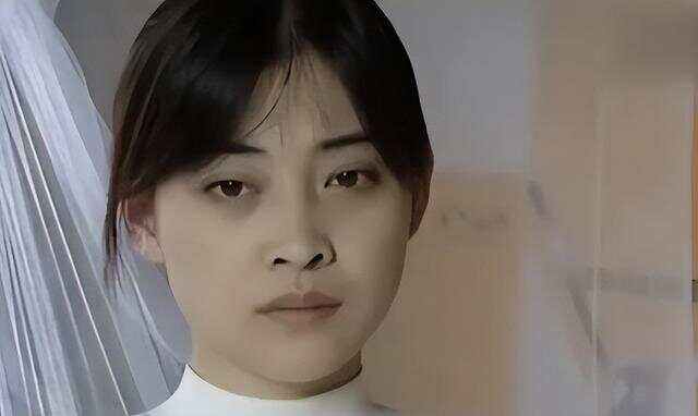 梅婷主演的电视剧(梅婷主演的电视剧有哪些)