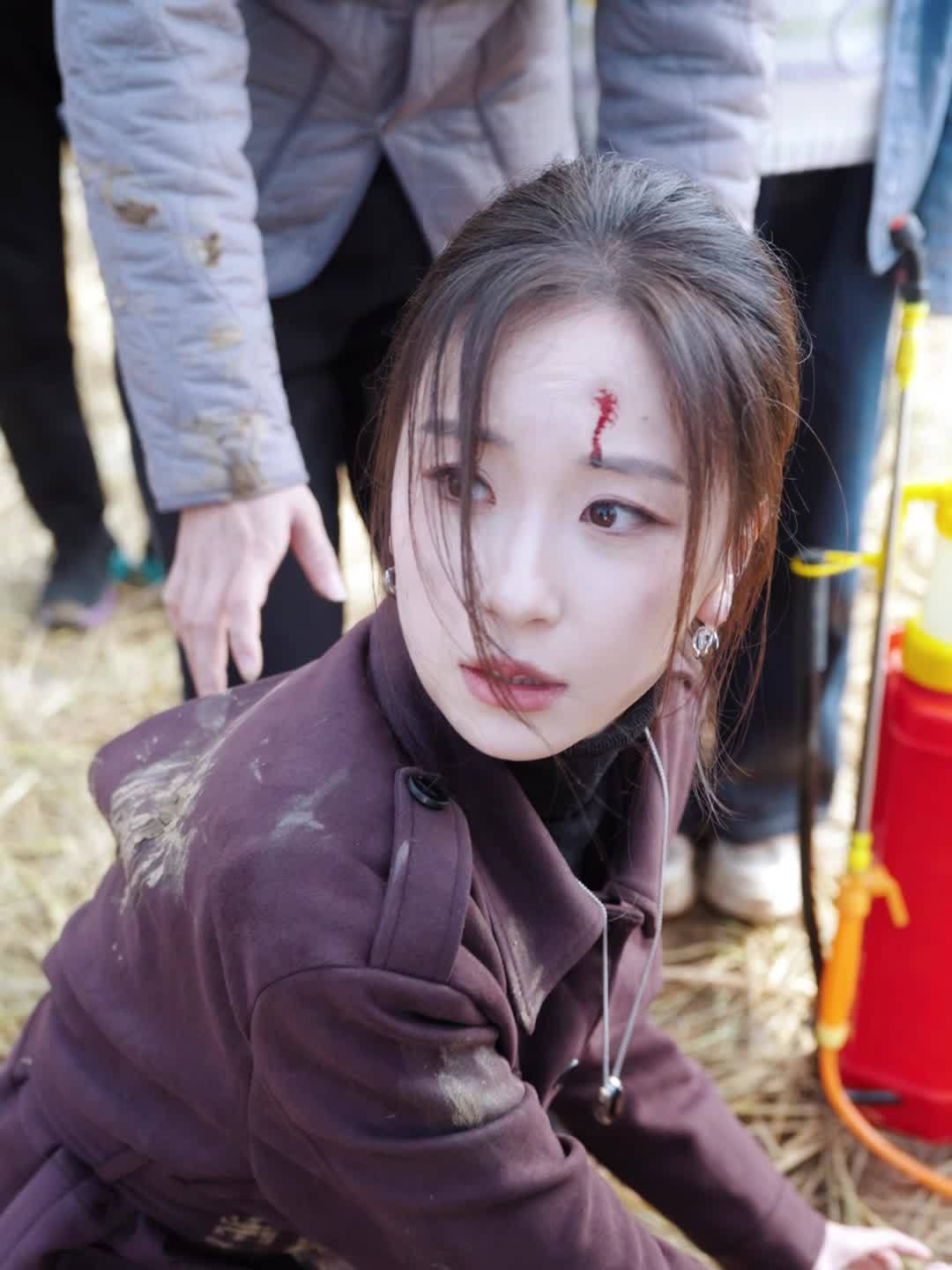 稻田荆棘路鸭兵镇蝗灾_稻田荆棘路鸭兵镇蝗灾免费观看
