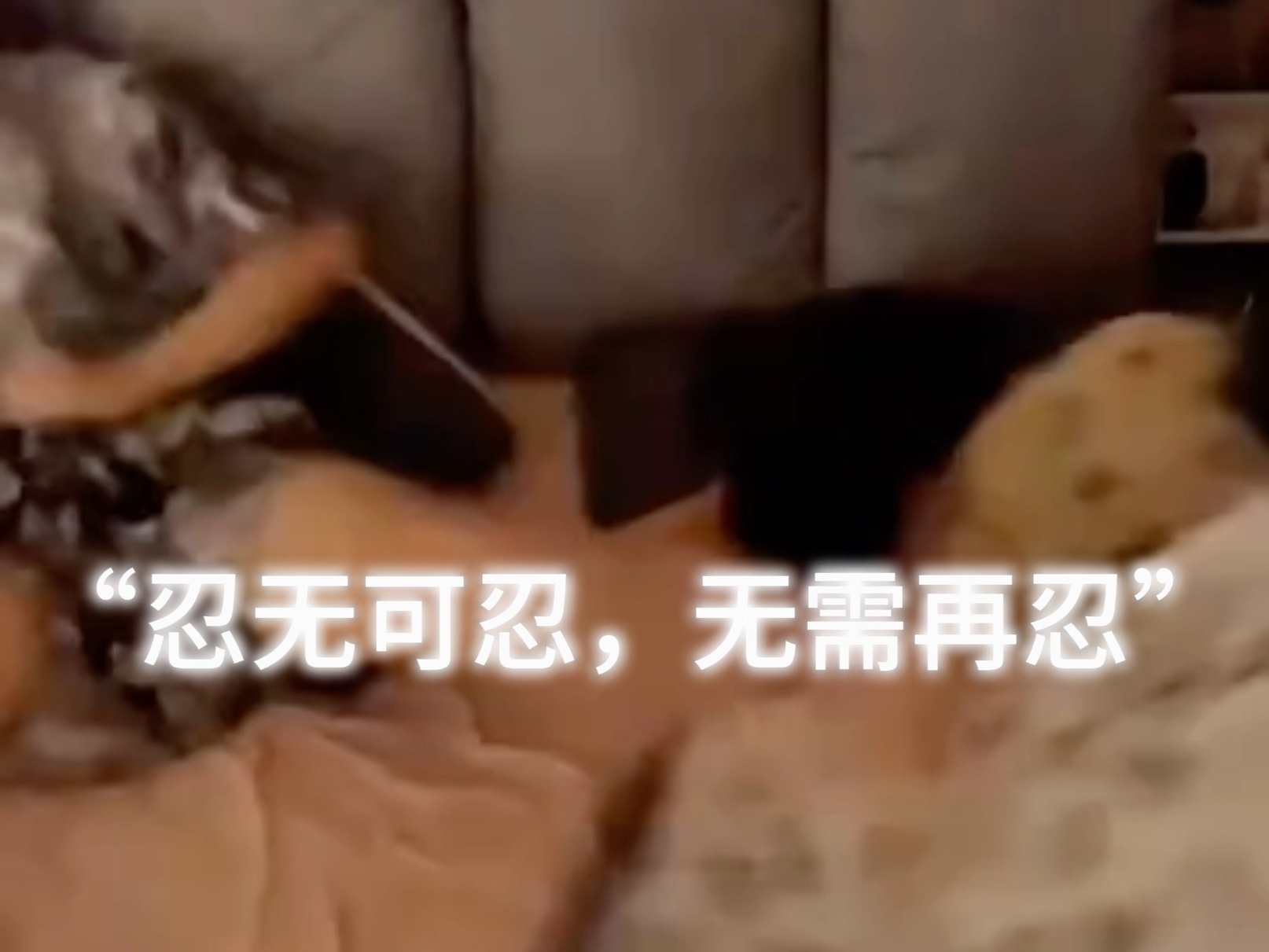不忍_不忍了我要回家当宠儿短剧免费观看