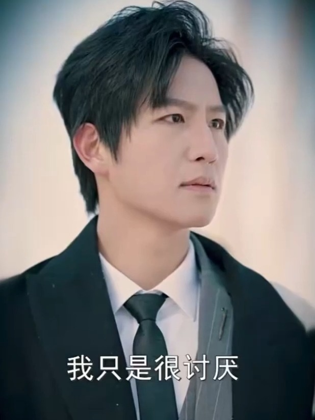 爱意幻灭_爱意幻灭苏修瑾是谁