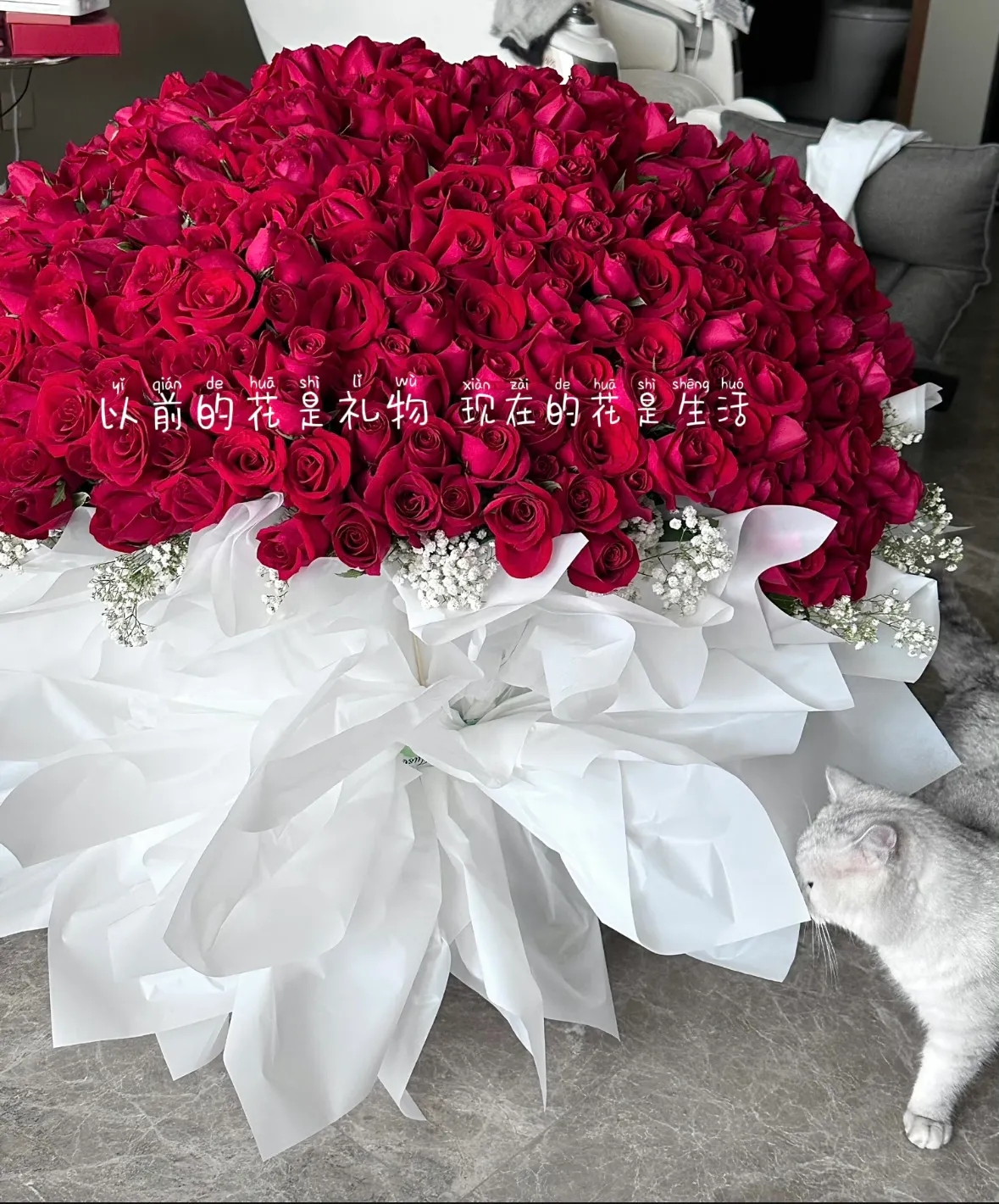 爱不止一种方式_爱不止一种方式,有热爱,情爱是什么歌